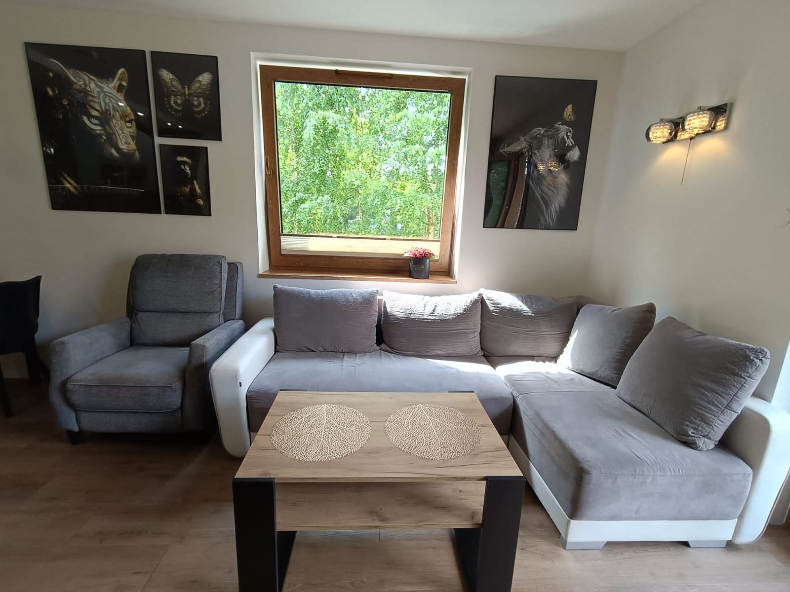 Apartament 1 — 2-pokojowy z ogrodem i tarasem zdjecie 20
